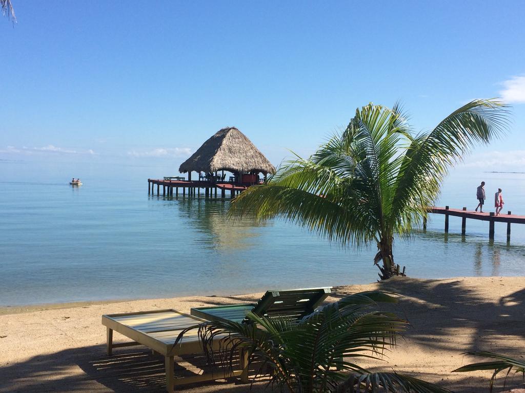 Robert's Grove Beach Resort Placencia Exterior foto