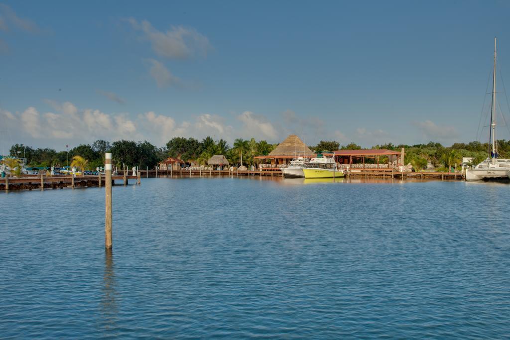 Robert's Grove Beach Resort Placencia Exterior foto